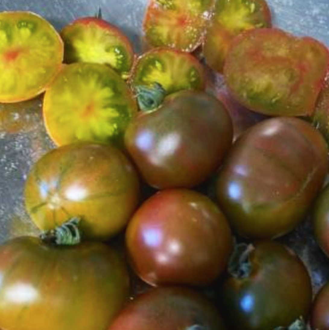 Substitutes — Chicago Tomato Man